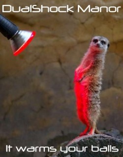 Meerkats and Playstation:  Meant to be.